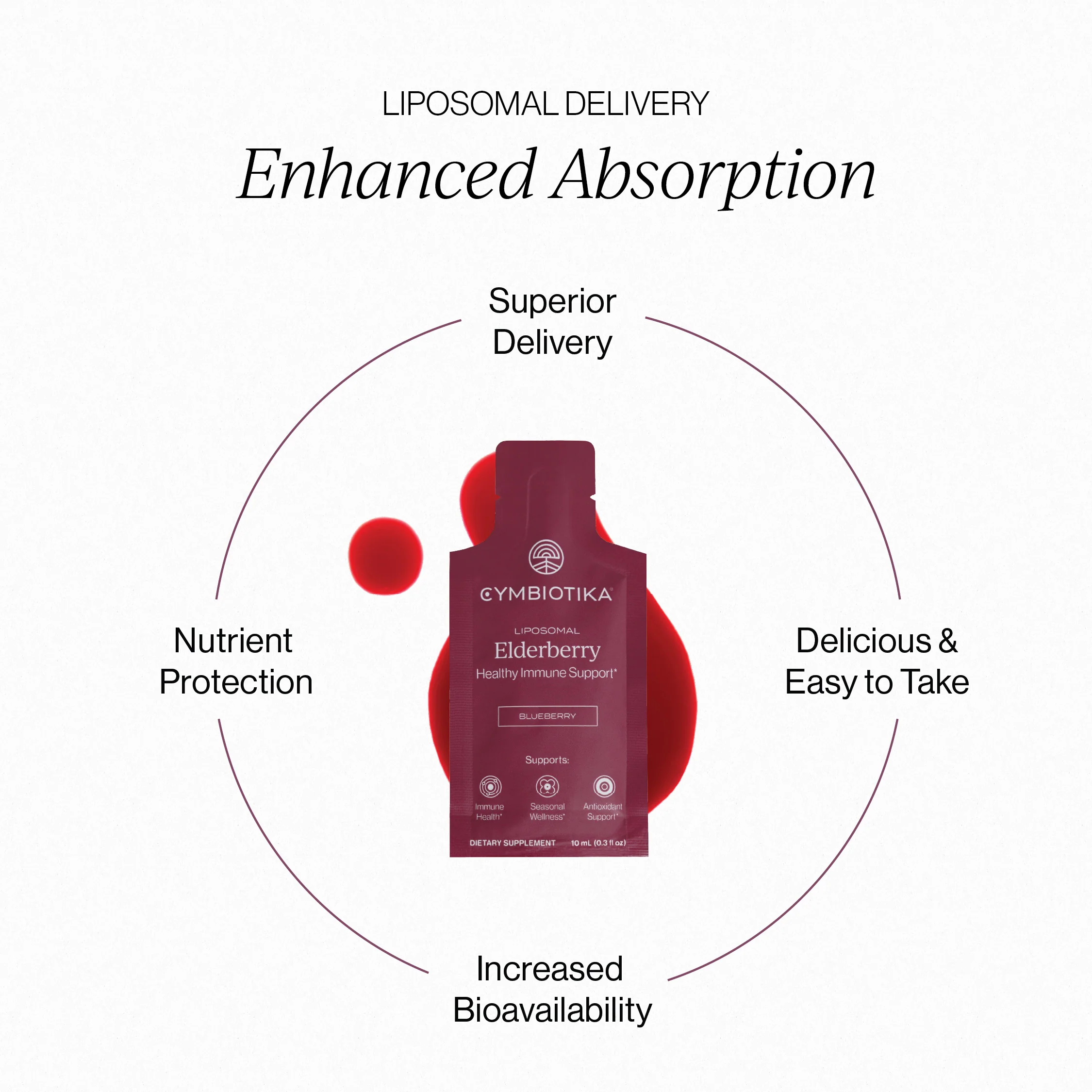 Liposomal Elderberry - Image 3