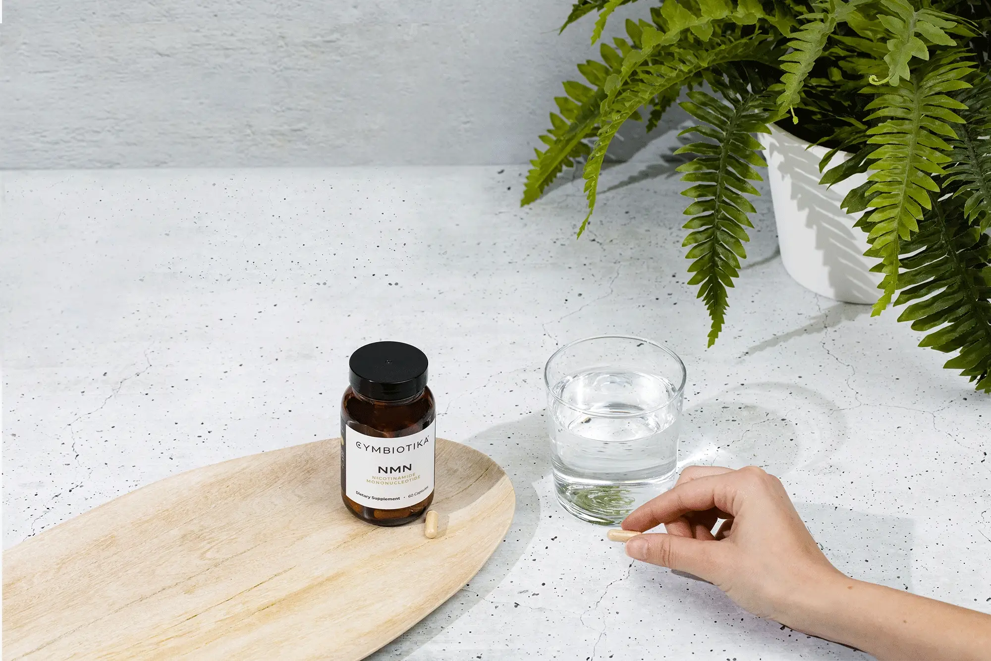 NMN + Trans-Resveratrol - Image 3