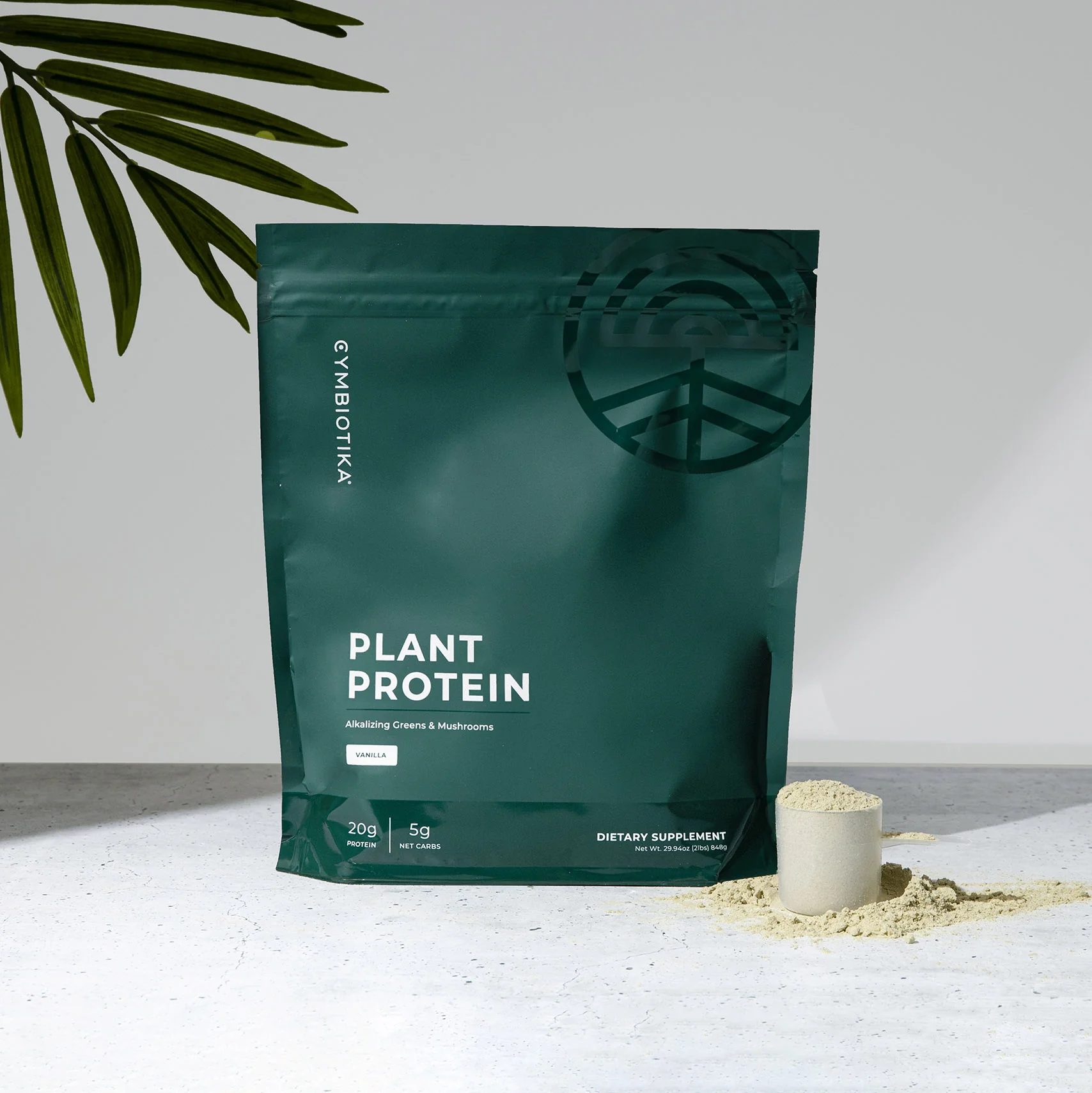 Plant Protein - Image 3