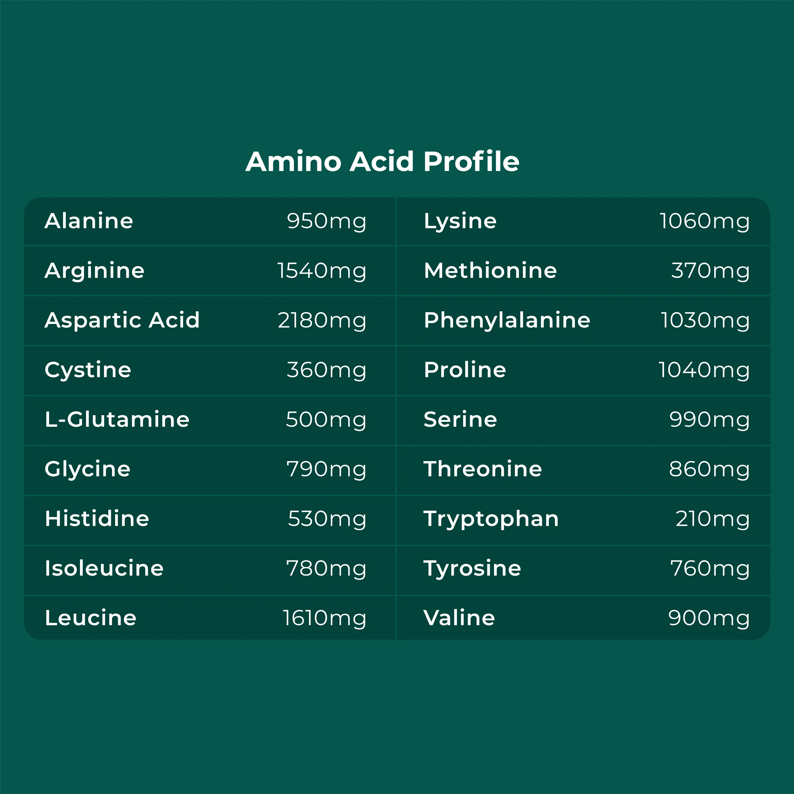 Plant Protein - Image 4