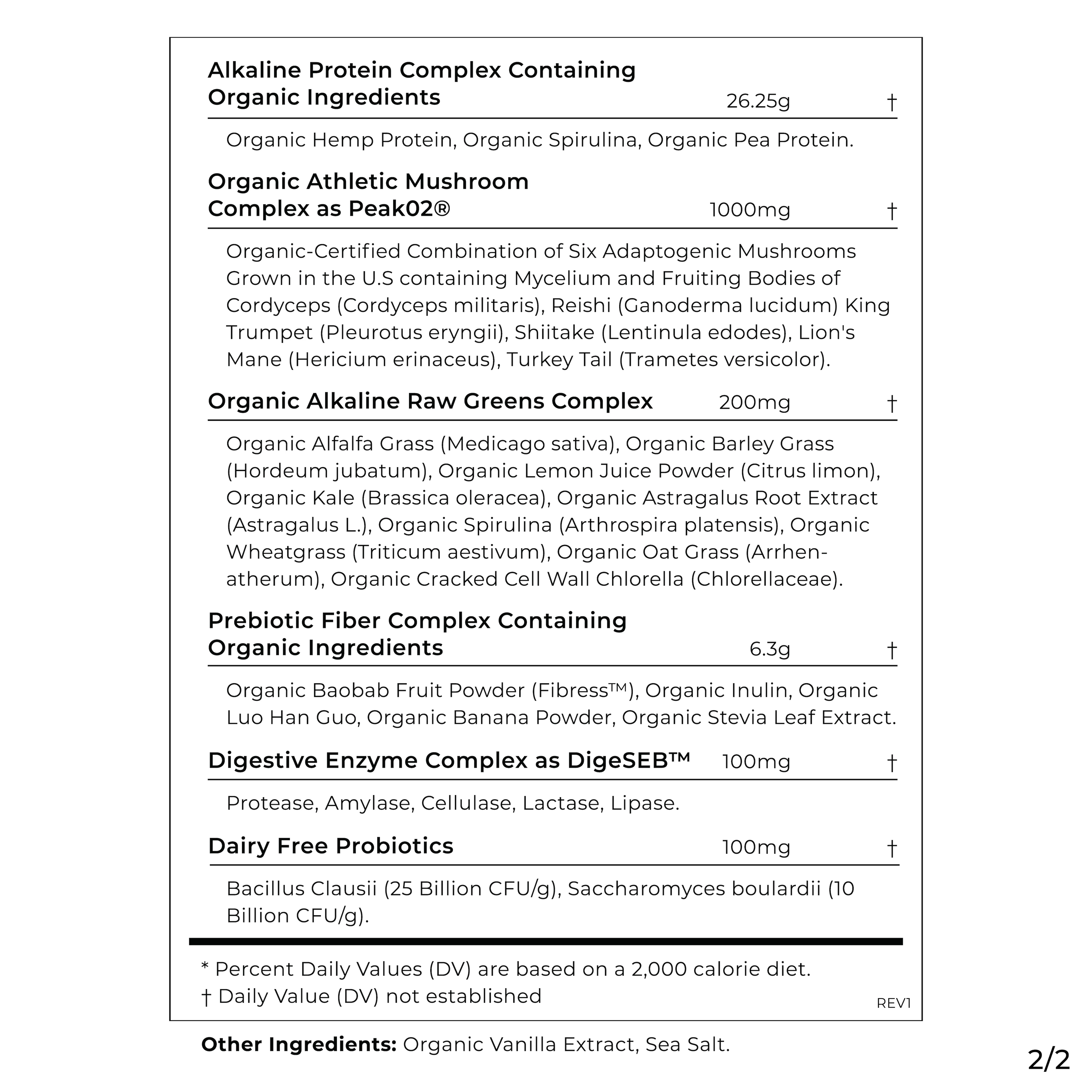 Plant Protein - Image 6