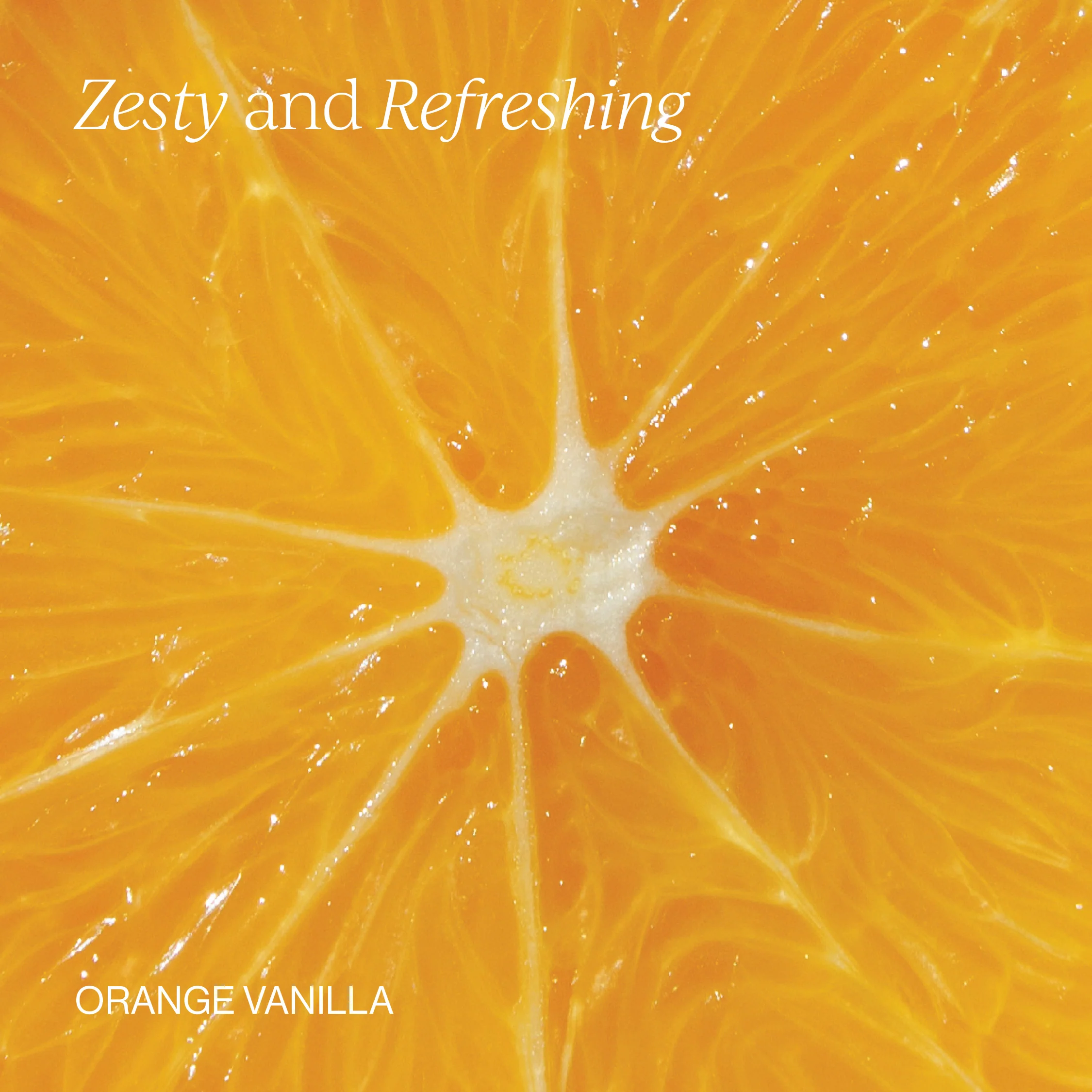 Liposomal Vitamin C - Image 5